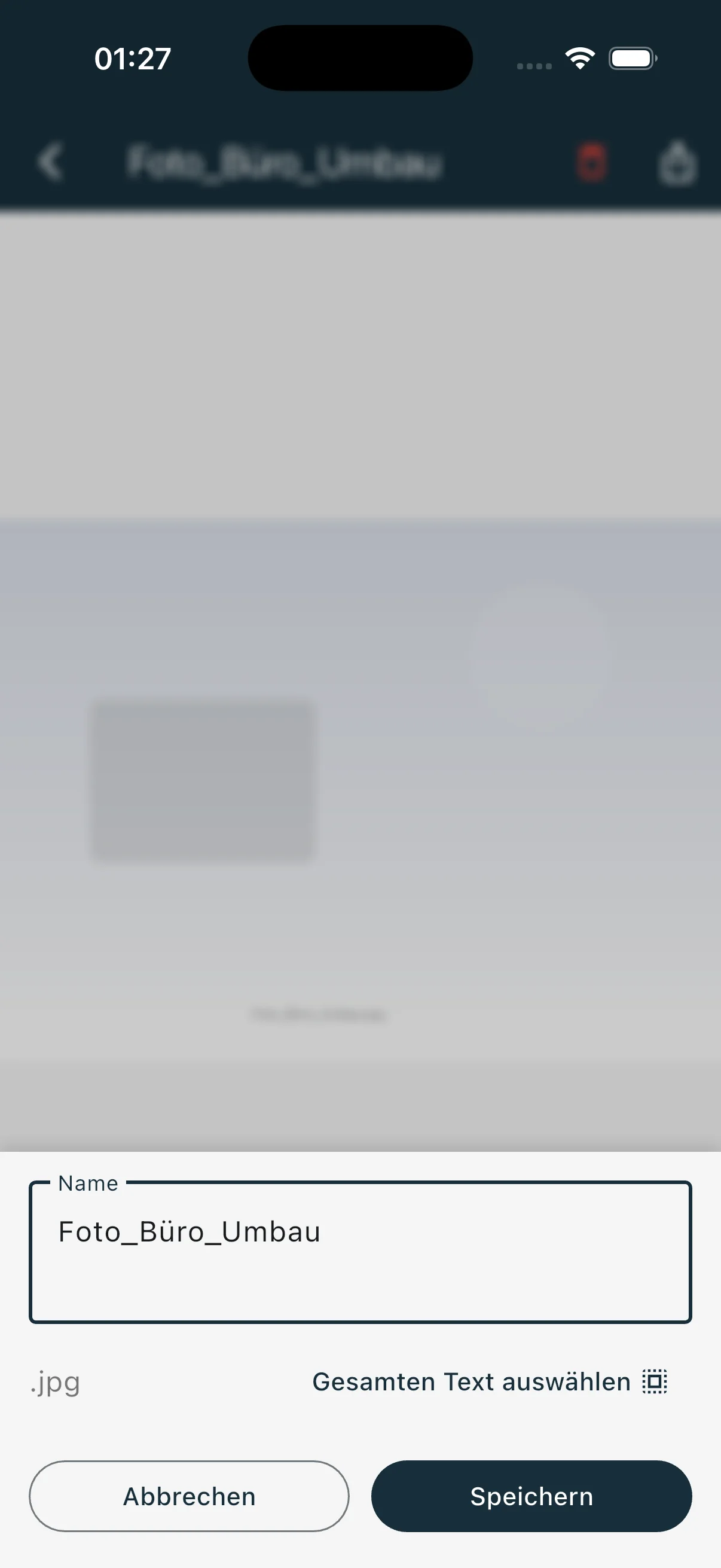 Bild-Datei umbenennen mit Namensfeld und Dateiendung